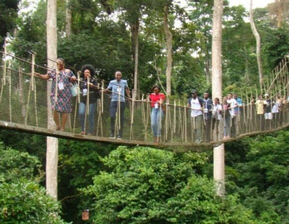 Kakum National Park – A Canopy of Wonder in Ghana