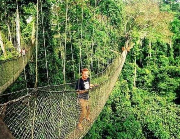 Kakum National Park