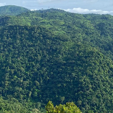 Volta Region